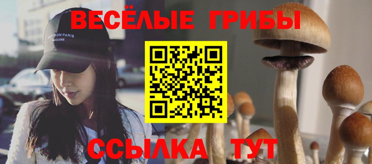 Псилоцибиновые грибы Cubensis Долгопрудный